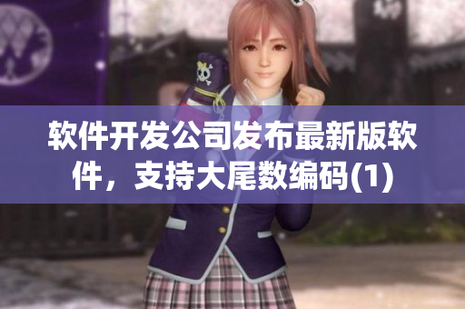 软件开发公司发布最新版软件，支持大尾数编码(1)
