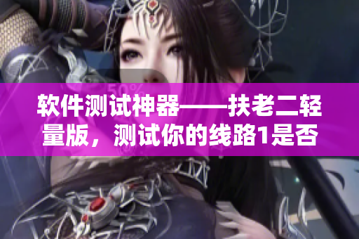 软件测试神器——扶老二轻量版，测试你的线路1是否可靠！