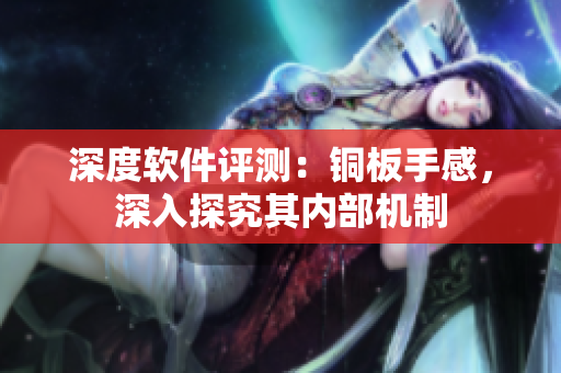 深度软件评测：铜板手感，深入探究其内部机制