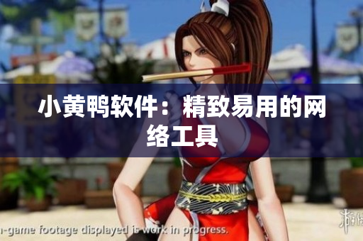 小黄鸭软件：精致易用的网络工具