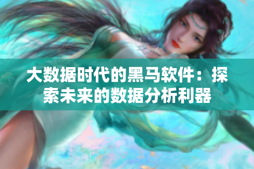 大数据时代的黑马软件：探索未来的数据分析利器