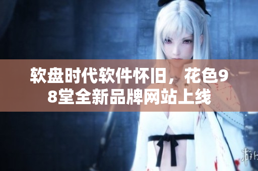 软盘时代软件怀旧，花色98堂全新品牌网站上线