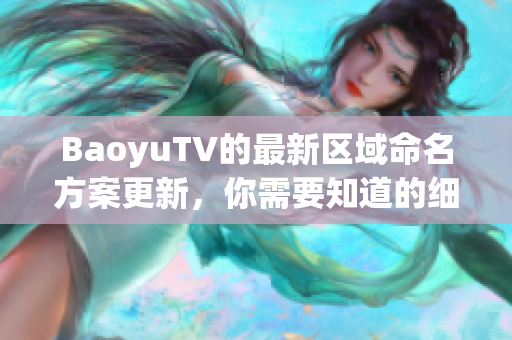 BaoyuTV的最新区域命名方案更新，你需要知道的细节