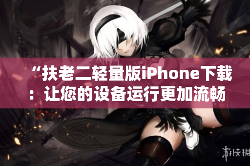 “扶老二轻量版iPhone下载：让您的设备运行更加流畅”