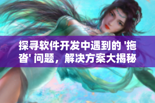 探寻软件开发中遇到的 '拖沓' 问题，解决方案大揭秘